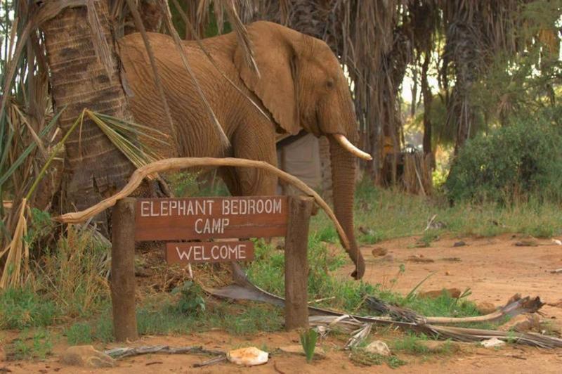 Elephant Bedroom Camp Archers Post Extérieur photo